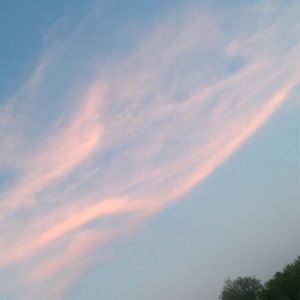 Check out my Depop @sophiedeserio